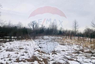 Teren de 2432 mp, în Cornu - 1