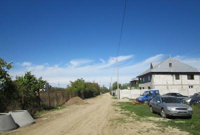 Domnesti Teghes-Padurarului - 8