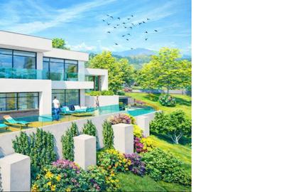 Teren Construcții intravilan de 1165 mp, în Copou - 2