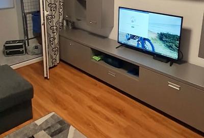 Garsonieră în Ostroveni - 3