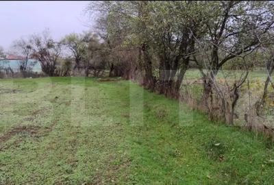 Teren de 3000 mp, în Central - 8