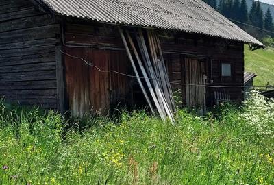 Vand casa 64mp+grajd 35mp+teren 6100mp, curent, apa, internet, deschidere la drum, in sat Glodu - 4