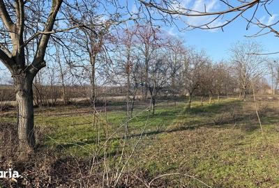 Teren de 2300 mp, în Vânători - 5