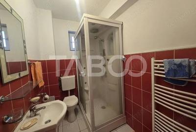 Garsonieră decomandată în Turnișor - 4