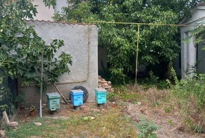 Casă cu 2 camere cu Teren 773 Mp în Central - 6