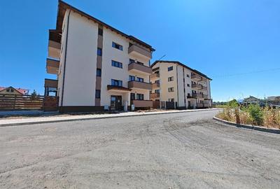 Inchiriem Garsoniera, Moderna, Gradina 67 Mp, Decomandata, Sanpetru - 22