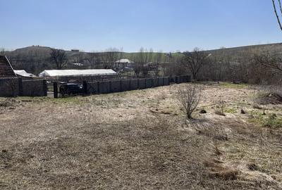 Spațiu comercial, în Săndulești - 3