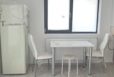 Apartament cu 2 camere, mobilat în 1 Decembrie 1918 - 6