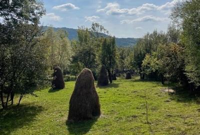 Casa de vacanta  30km de Sinaia Casa de vacanta  30km de Sinaia - 12