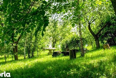 Teren de 14000 mp, în Mihai Viteazu - 9