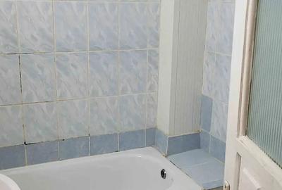 Apartament 1 camera, 40mp,zona Han - 5