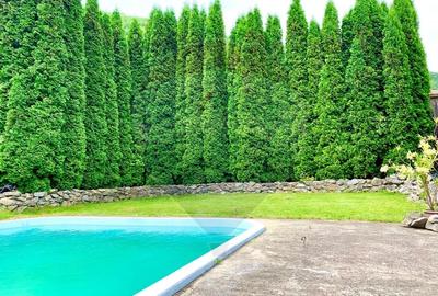 Pensiune cu 13 camere de vanzare in Bulz - 5