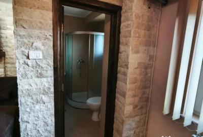 Spațiu comercial, de 50 mp, în Central - 9