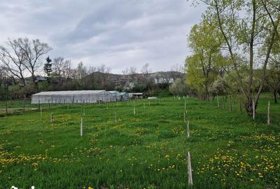 Teren de 1809 mp, în Moțăieni - 4