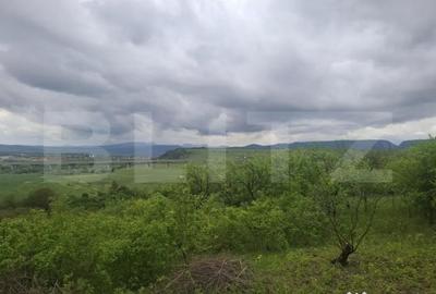 Teren de 2691 mp, în Turda - 2