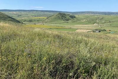 Spațiu comercial, în Pata - 2