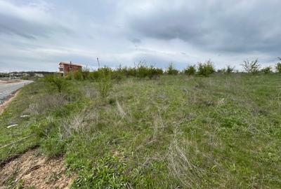 Branesti Teren Superb 5000 de mp acces facil A0 pretabil Complex Case/Vile - 2