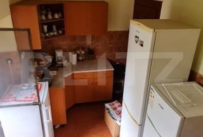 Oportunitate! Casa Bod pe un singur nivel, teren 980 mp pivnita, garaj ,mobilata - 12