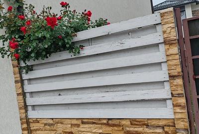 Apartament cu 3 camere în Chiajna - 3