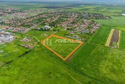 Teren de 31000 mp, în Sânleani - 1