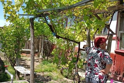 Casă cu 5 camere în Oltina - 9