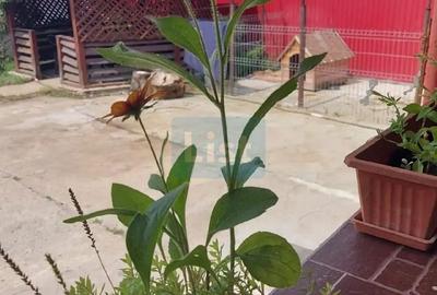 Casă cu 8 camere cu Canalizare în Drăguțești - 17