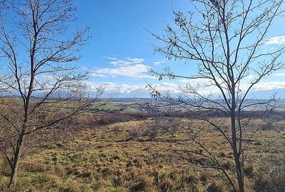 Teren Extravilan - langa DJ 106 \  Bavaria \ Sibiu - 1