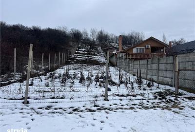 Teren de 1157 mp, în Oncea