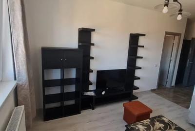 Inchiriere garsoniera decomandata Rezervelor 60 bis - langa Ballroom - 6