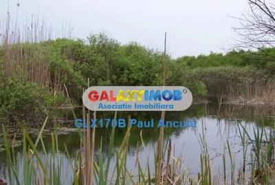 Teren de 8800 mp, în Snagov