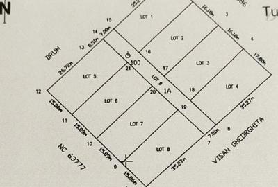 Teren de 5000 mp, în Dudașu - 1