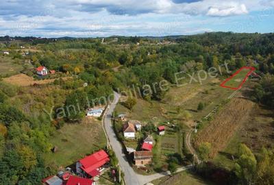 Teren de 2250 mp, în Ioanicești - 7