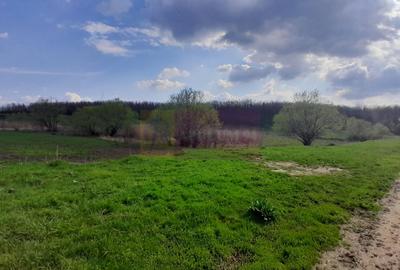 Teren Construcții intravilan de 3400 mp, în Buturugeni - 10