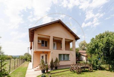 Casa spatioasa P+1E Budeasa -Valea Marului Arges - 18