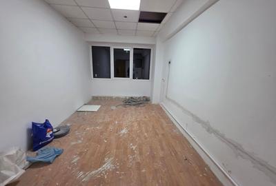 Theodor Pallady, 10 minute metrou 1 Decembrie 1918, stradal - 2