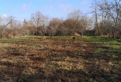 Casă cu 5 camere în Albești - 9