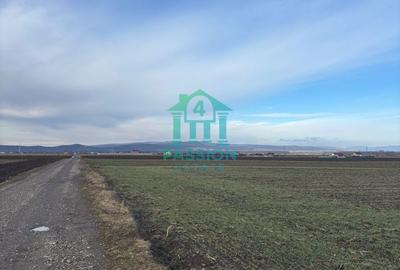 Teren de 22679 mp, în Hărman - 3