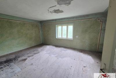 Casa de vanzare cu 47.880 mp teren in Vintu de Jos - Mereteu - 8
