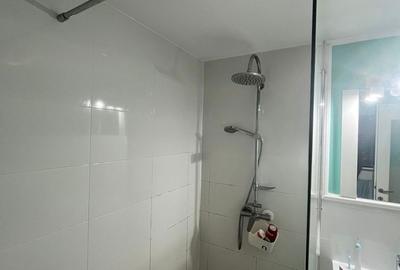 Apartament cu 2 camere semidecomandat în Dosu Bricii - 4