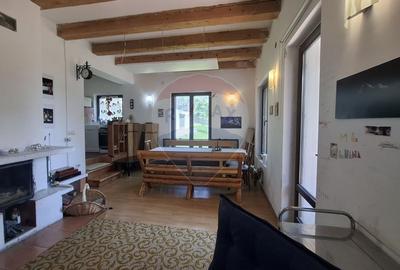 Casa de vacanta in Magura, la poalele Muntilor Piatra Craiului - 9