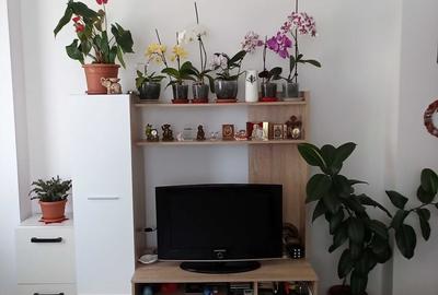 Apartament cu 2 camere decomandat în Chiajna - 1