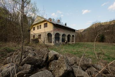 Proprietate unica in Tarcau - 30.283 mp intravilan, casa P+M - 4