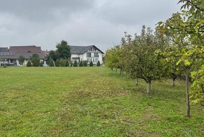 Casa semifinisata cu teren generos – 377 mp utili, 5754 mp teren – ideala pentru - 7