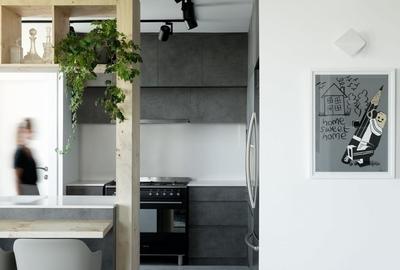 Apartament doua camere, langa Pasarela Octav Bancila - 4