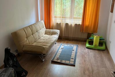 Casă de închiriat, 7 camere, 250 mp, Făget - 10