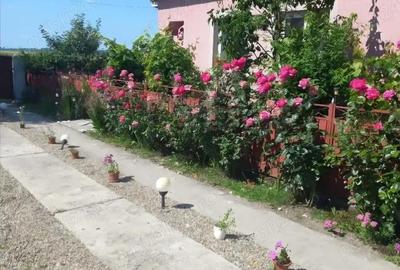 Casă în Osica de Sus - 4