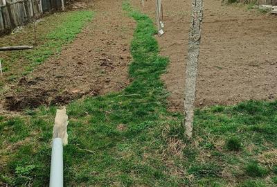 Casă cu 3 camere în Blaj - 3