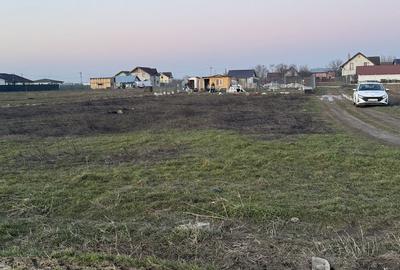 Teren de 600 mp, în Adunații-Copăceni - 3