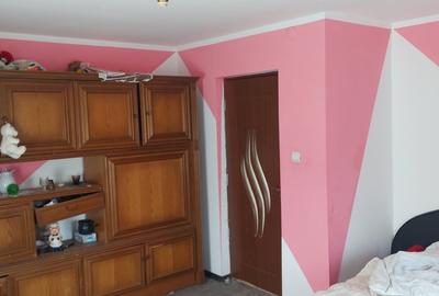 Spre vanzare proprietate Manastirea Humorului - Suceava - Bucovina - 6