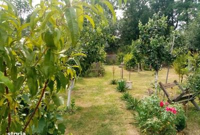 Casă cu 3 camere cu Teren 60 Mp în Recea - 8